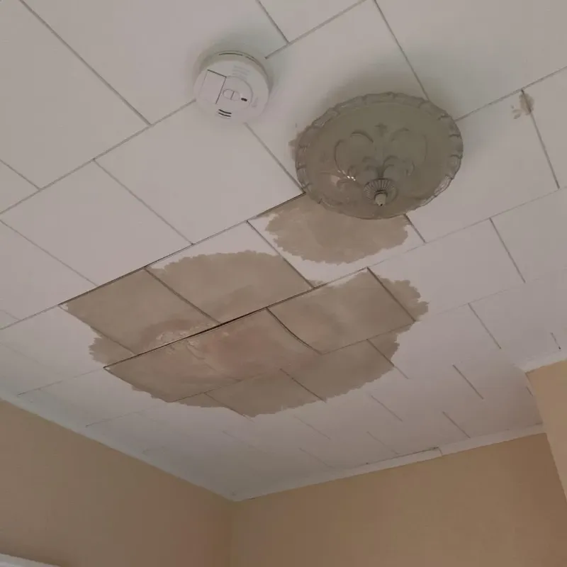 Ceiling Water Damage Repair in Hamburg, NY