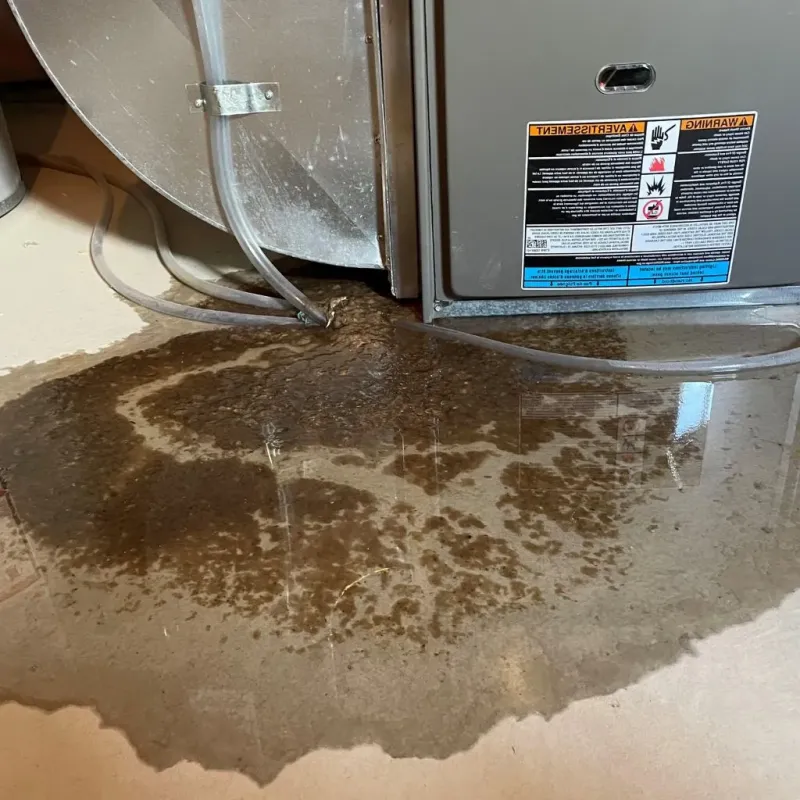 Pipe Burst and Leak Restoration in Hamburg, NY