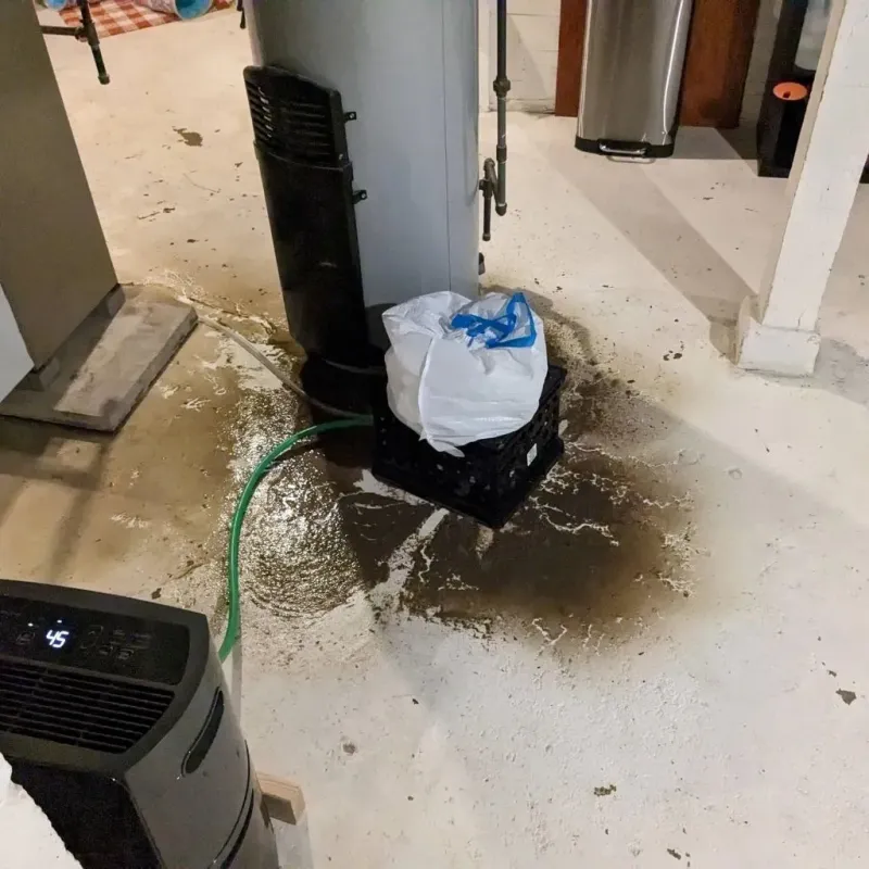 Sewage Backup Cleanup Service in Hamburg, NY